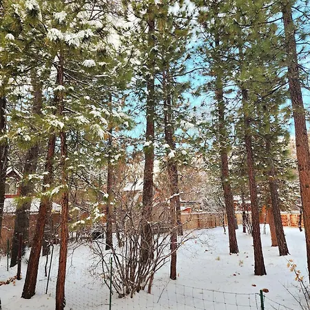 Bear Escapes II Affordable Luxury Cabin Sugarloaf Exterior foto
