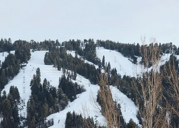 Bear Escapes II Affordable Luxury Cabin