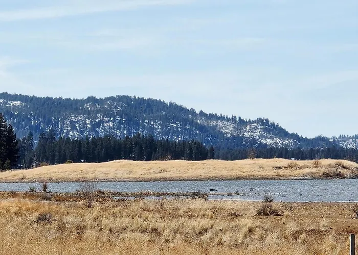 Bear Escapes II Affordable Luxury Cabin