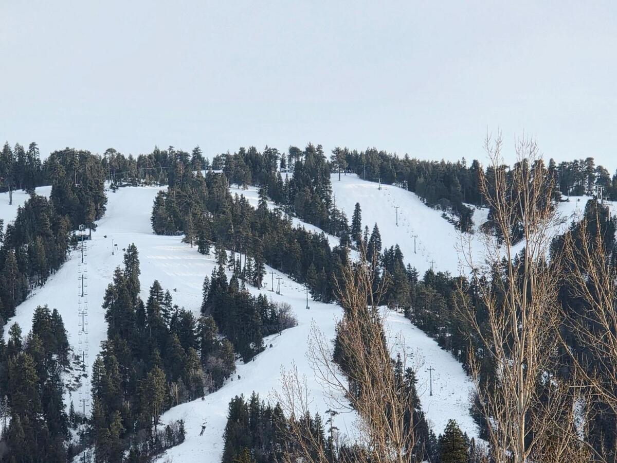 Bear Escapes Ii Affordable Luxury Sugarloaf