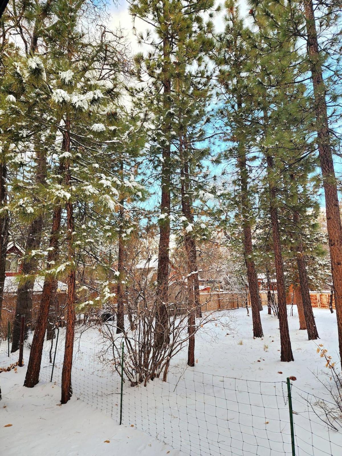 Holiday home Bear Escapes Ii Affordable Luxury Sugarloaf