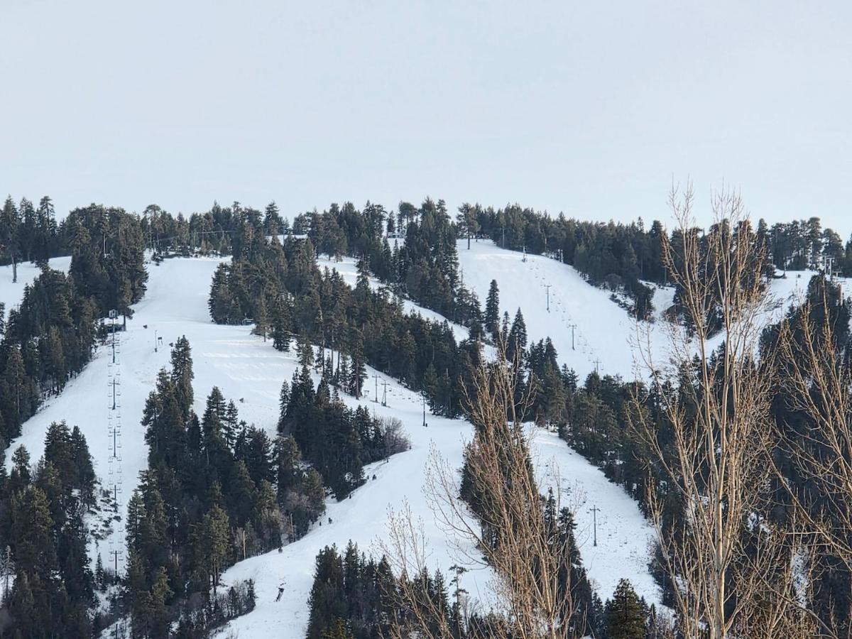 Bear Escapes Ii Affordable Luxury * Sugarloaf